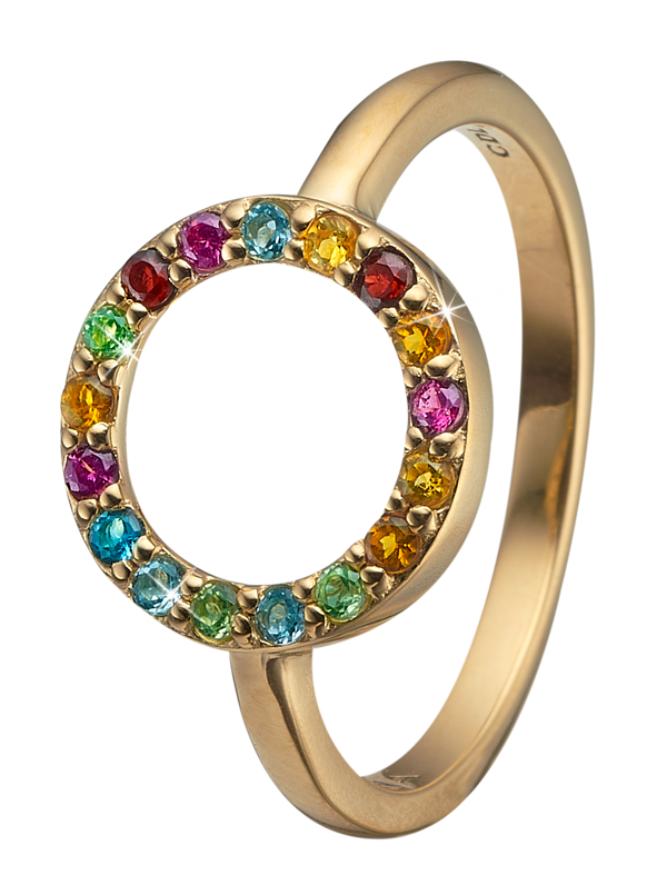 UrogSmykker.dk har Model 7.1.B, Smuk ring med cirkel besat med 17 forskellige ægte sten