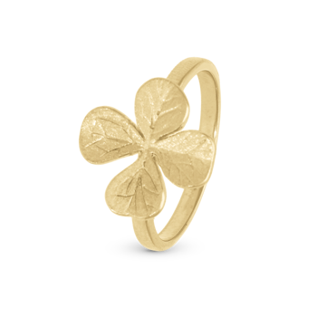 Four Leaf Clover Matteret og detaljeret firkløver ring i 925 forgyldt sølv  fra Christina Jewelry