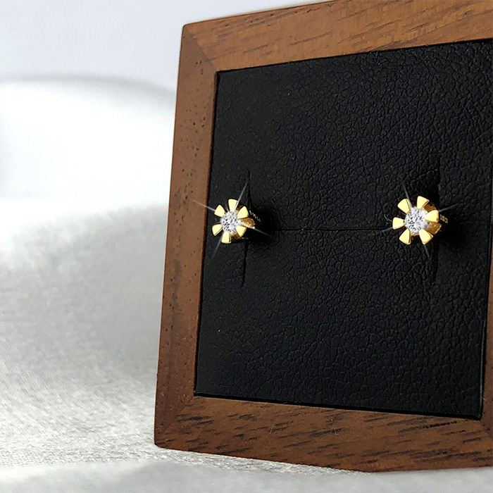 Studs øreringe