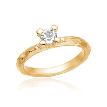Blicher Fuglsang's Smuk klassisk ring med kant