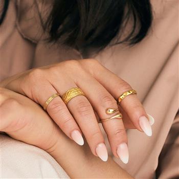 Aagaard's Ring, Facet