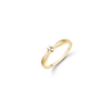 Aagaard's ETERNITY 8KT D.RING  1X0,03CT WSI