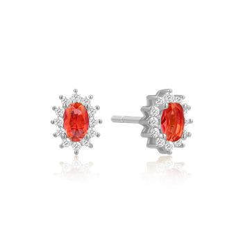 Støvring Design's Sølv ørestikker