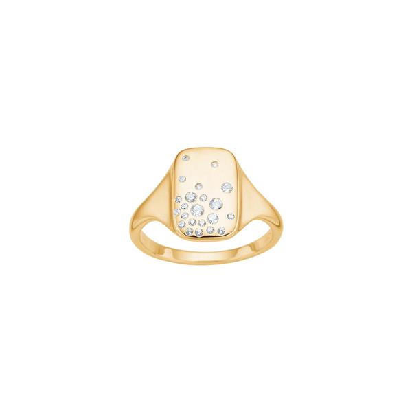 Joanli Nor\'s Forgyldt sølv ring ROXANOR str. 60