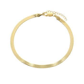 Aagaard's Ankelkæde Panzer flex