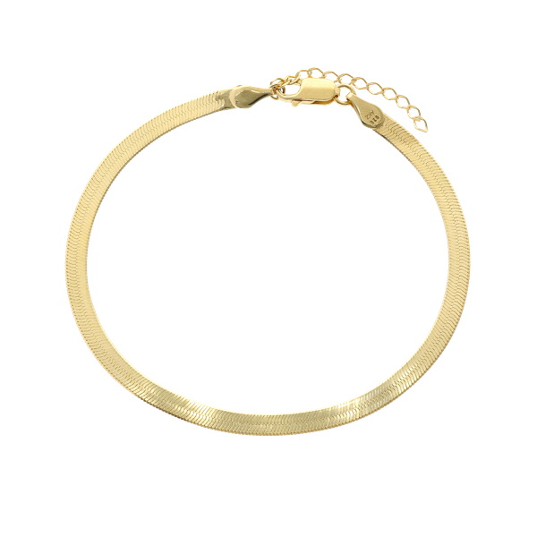 Aagaard\'s Ankelkæde Panzer flex