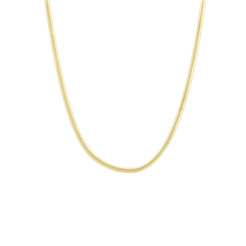 Aagaard's Halskæde Snake