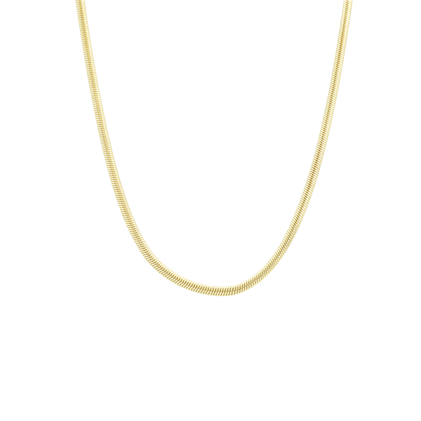 Aagaard\'s Halskæde Snake