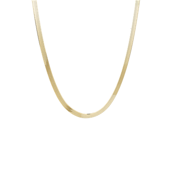 Aagaard's Halskæde, Panzer, forg. ,45cm