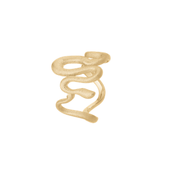 Aagaard's Snake, ring, forg