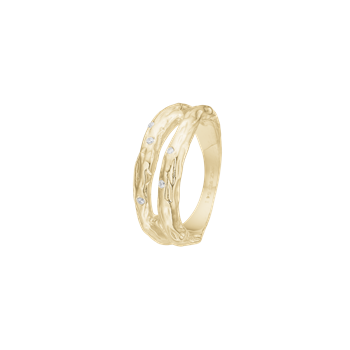 Aagaard's Ring, Forest, forg.