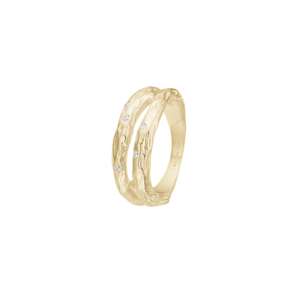 Aagaard\'s Ring, Forest, forg.