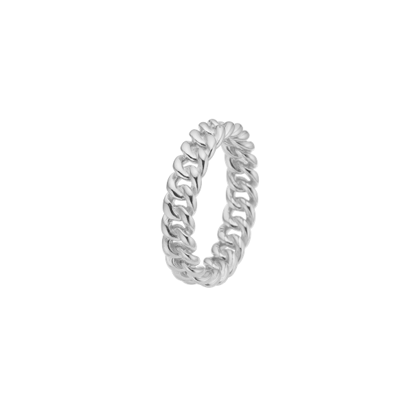 Aagaard\'s Ring, Links, sølv