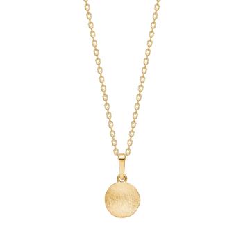 Siersbøl's 8kt guldvedhæng plade inkl. forg. sølvkæde 