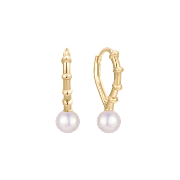 Støvring Design's Guld ørestikker