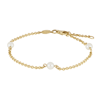 Siersbøl's 8kt. ankelkæde m. fvkp