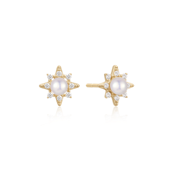 Støvring Design's Guld ørestikker