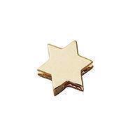 Stjerne - 6 mm forgyldt sølv stjerne Design Letters by Arne Jacobsen uden eller med 45-60 cm kæde